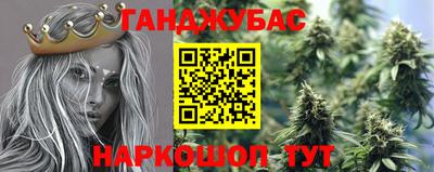 прущие грибы Абинск