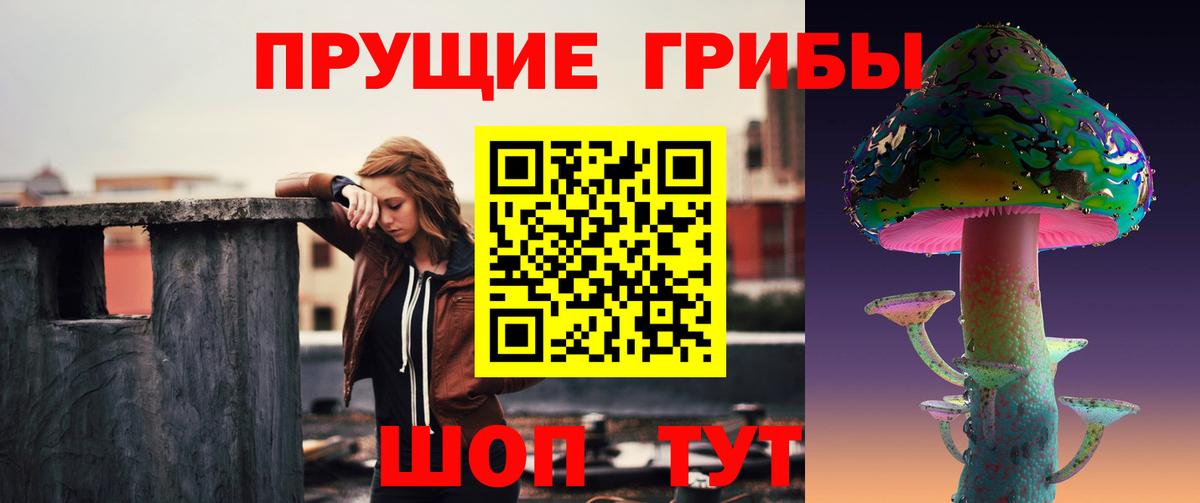 Псилоцибиновые грибы Cubensis  Вход с VPN  Псилоцибиновые грибы Psilocybine cubensis  Аргун 